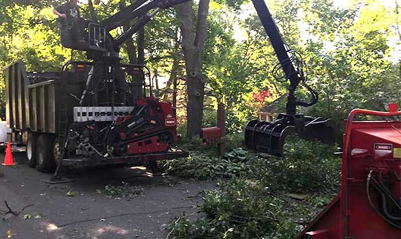 Storm Damage Cleanup