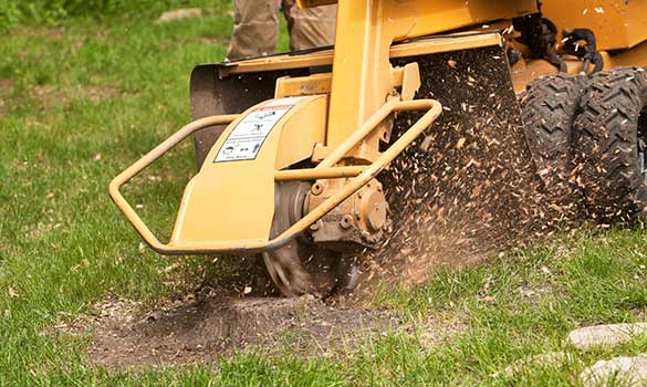 Stump Grinding Aside Image